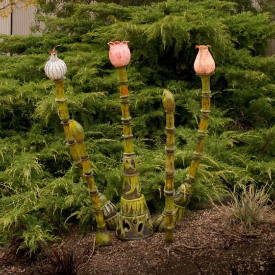 DSC_9061-800 copy.jpg