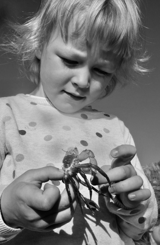 01A01788-8B9B-49DC-9778-CFBA97BD2EE7_1_201_a