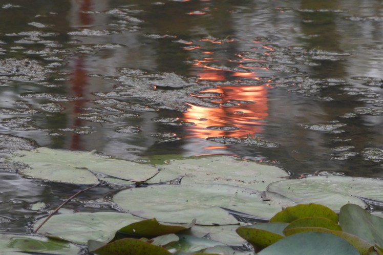 DB16864C-9828-471C-BE35-93B649D50B8F