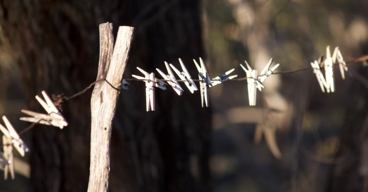 EC261D96-5A76-4B75-8586-9FDC00064ABF_1_201_a